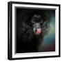 Treat Snatcher Toy Black Poodle-Jai Johnson-Framed Giclee Print
