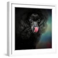 Treat Snatcher Toy Black Poodle-Jai Johnson-Framed Giclee Print