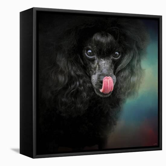 Treat Snatcher Toy Black Poodle-Jai Johnson-Framed Stretched Canvas