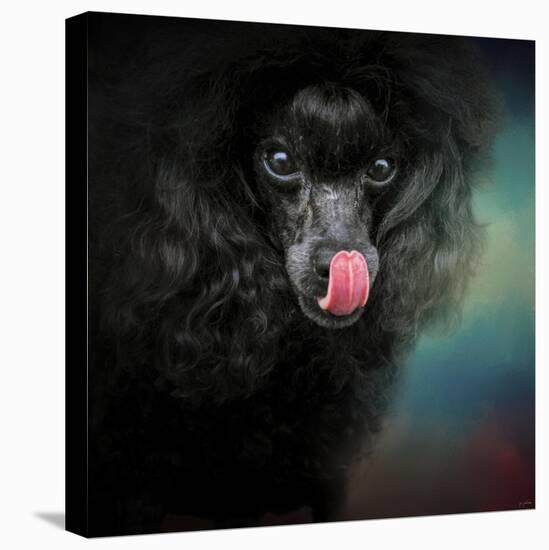 Treat Snatcher Toy Black Poodle-Jai Johnson-Stretched Canvas