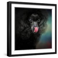 Treat Snatcher Toy Black Poodle-Jai Johnson-Framed Premium Giclee Print