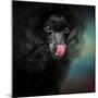 Treat Snatcher Toy Black Poodle-Jai Johnson-Mounted Premium Giclee Print