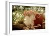 Treat Those with Holiday Love-Kali Wilson-Framed Photographic Print