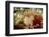 Treat Those with Holiday Love-Kali Wilson-Framed Photographic Print