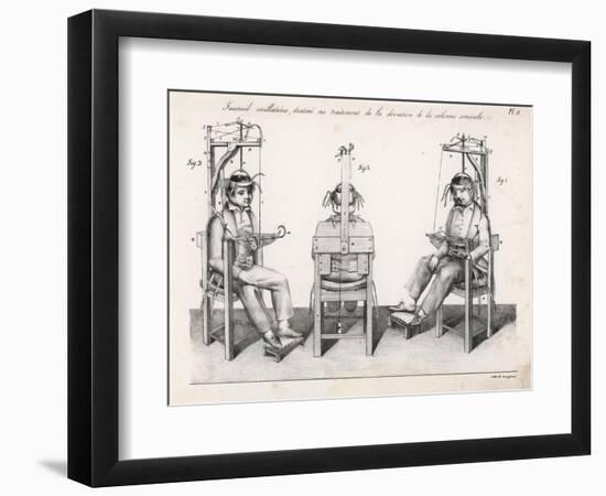 Treating the Spine-Langlume-Framed Art Print