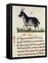 Treatise on Goat-null-Framed Stretched Canvas