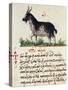 Treatise on Goat-null-Stretched Canvas