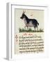 Treatise on Goat-null-Framed Giclee Print