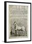 Treatise on Painting'-Leonardo da Vinci-Framed Art Print