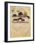 Treatise on the Boar: Life, Mating, Hunting, Illustration from the 'Cynegetica' by Oppian-Italian-Framed Giclee Print