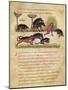 Treatise on the Boar: Life, Mating, Hunting, Illustration from the 'Cynegetica' by Oppian-Italian-Mounted Giclee Print