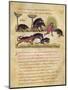 Treatise on the Boar: Life, Mating, Hunting, Illustration from the 'Cynegetica' by Oppian-Italian-Mounted Giclee Print