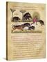 Treatise on the Boar: Life, Mating, Hunting, Illustration from the 'Cynegetica' by Oppian-Italian-Stretched Canvas