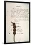 Treaty of Paris, 1783-null-Framed Giclee Print