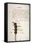 Treaty of Paris, 1783-null-Framed Stretched Canvas