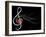 Treble Love and Music Notes-fat_fa_tin-Framed Art Print