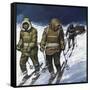 Treck to the Pole-Mike White-Framed Stretched Canvas