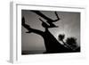 Tree 1-Lee Peterson-Framed Photographic Print