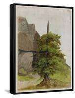 Tree, about 1506-Albrecht Dürer-Framed Stretched Canvas
