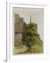 Tree, about 1506-Albrecht Dürer-Framed Giclee Print