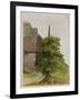 Tree, about 1506-Albrecht Dürer-Framed Giclee Print