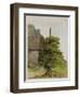 Tree, about 1506-Albrecht Dürer-Framed Giclee Print