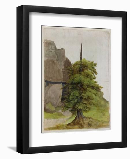 Tree, about 1506-Albrecht Dürer-Framed Giclee Print