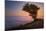 Tree Above the Fog at Sunset, Marin County California-Vincent James-Mounted Photographic Print