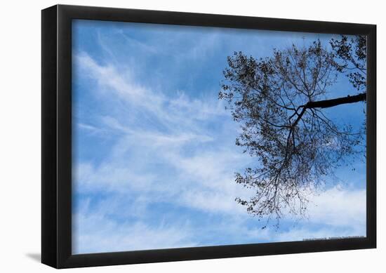 Tree Against a Blue Sky-null-Framed Poster