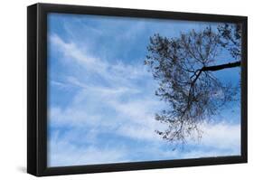 Tree Against a Blue Sky-null-Framed Poster