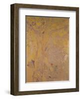 Tree Against a Yellow Background-Odilon Redon-Framed Giclee Print