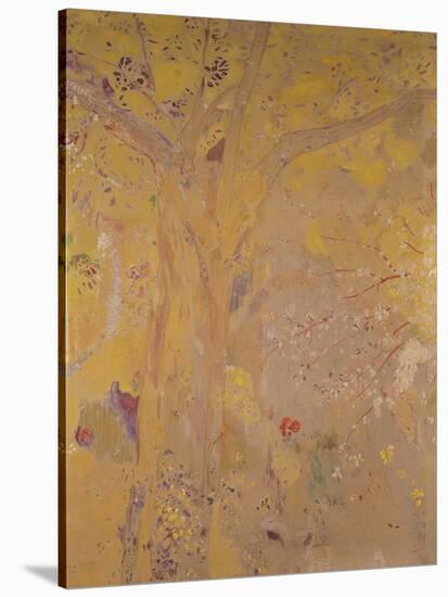 Tree Against a Yellow Background-Odilon Redon-Stretched Canvas