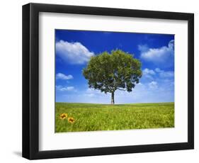 Tree Against Blue Sky-Lew Robertson-Framed Photographic Print