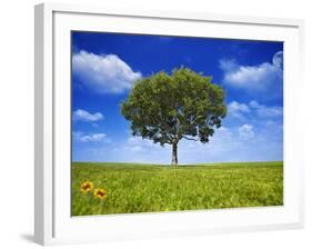 Tree Against Blue Sky-Lew Robertson-Framed Photographic Print