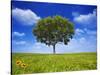 Tree Against Blue Sky-Lew Robertson-Stretched Canvas