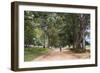 Tree Alley in Livingstonia, Malawi, Africa-Michael Runkel-Framed Photographic Print