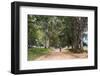 Tree Alley in Livingstonia, Malawi, Africa-Michael Runkel-Framed Photographic Print