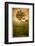 Tree Alone-Craig Satterlee-Framed Photographic Print