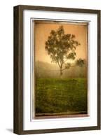 Tree Alone-Craig Satterlee-Framed Photographic Print