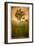 Tree Alone-Craig Satterlee-Framed Photographic Print