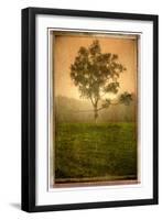 Tree Alone-Craig Satterlee-Framed Photographic Print