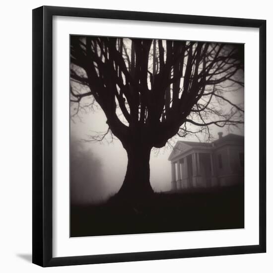 Tree and Bandhouse at Discovery Park-Kevin Cruff-Framed Photographic Print