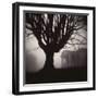 Tree and Bandhouse at Discovery Park-Kevin Cruff-Framed Photographic Print