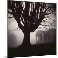 Tree and Bandhouse at Discovery Park-Kevin Cruff-Mounted Photographic Print