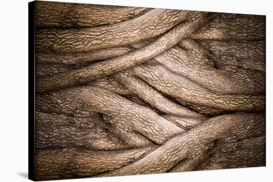 Tree and Bark Texture-fotoslaz-Stretched Canvas