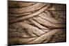 Tree and Bark Texture-fotoslaz-Mounted Photographic Print