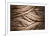 Tree and Bark Texture-fotoslaz-Framed Photographic Print