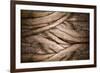 Tree and Bark Texture-fotoslaz-Framed Photographic Print