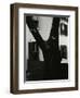 Tree and Building, 1960-Brett Weston-Framed Premium Photographic Print