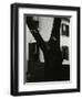 Tree and Building, 1960-Brett Weston-Framed Premium Photographic Print